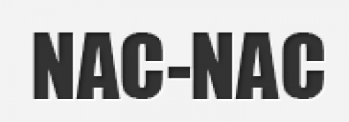 NEF-AL-CONS SRL