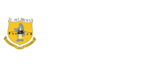 OLT DRUM SA