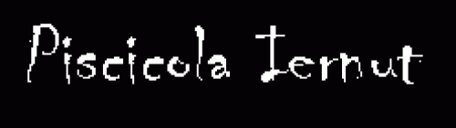 A.P. JUDIT PISCICOLA IERNUT MUREŞ