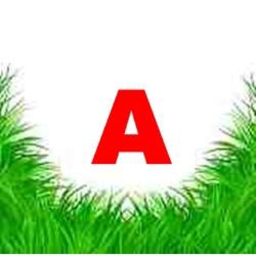 KERT-GAZDA SRL