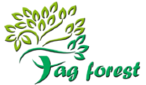FAG INTERNATIONAL SRL