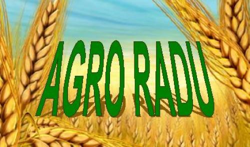 AGRO RADU SRL