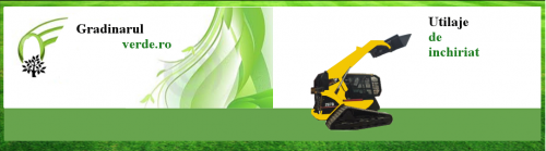 MOCA SRL