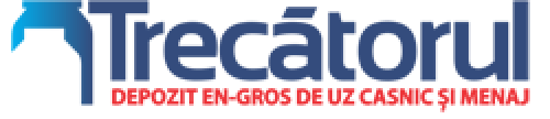 TRECATORUL COM SRL