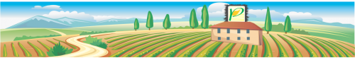 PLANTAGRO COM SRL
