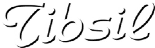 TIBSIL SRL