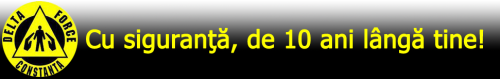 DELTA FORCE SOLUTIONS SRL