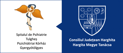 SPITALUL DE PSIHIATRIE TULGHEŞ