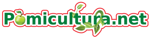 TURZAI ȘTEFAN PFA