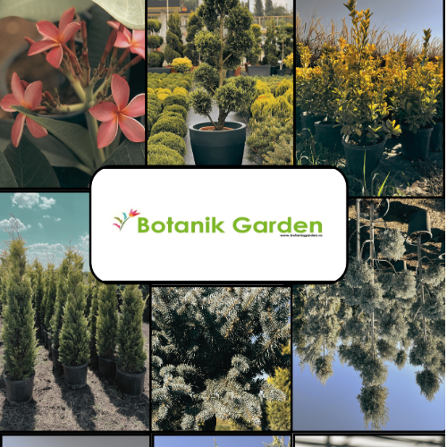 BOTANIK GARDEN