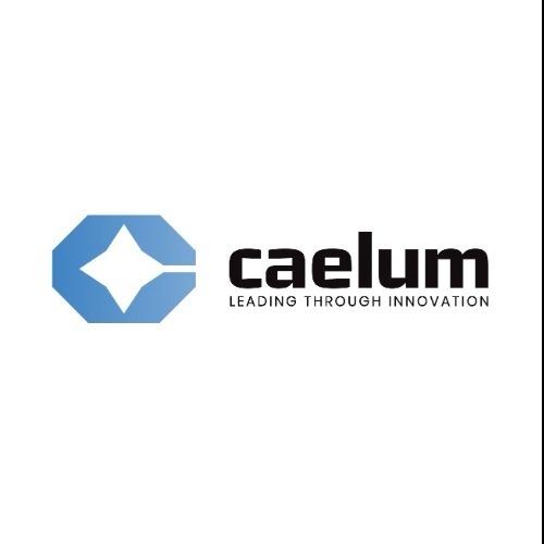 CAELUM EST SRL