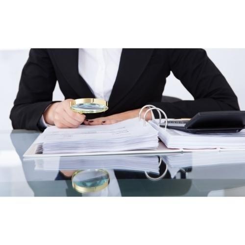 MANU A. ADRIANA MARIA - AUDITOR FINANCIAR