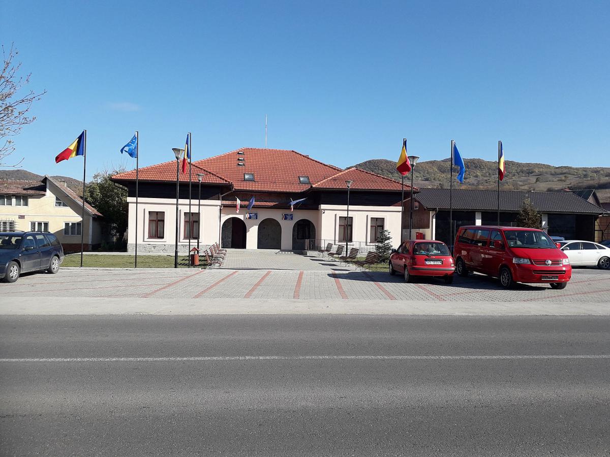 Descriere poză