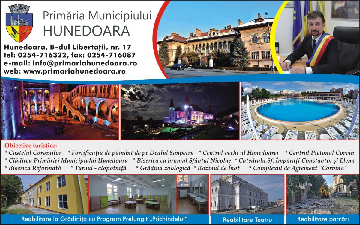 Descriere poză