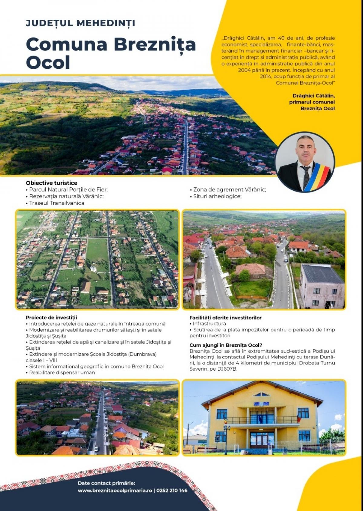 Descriere poză