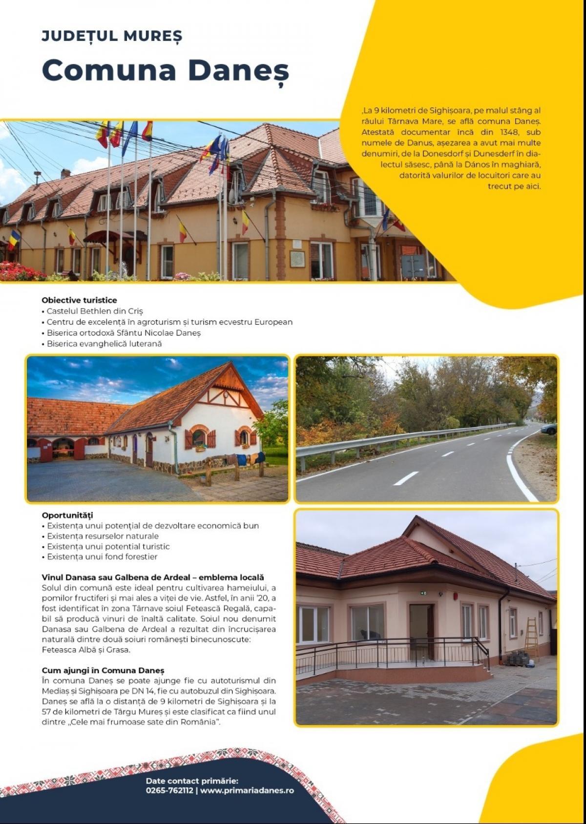 Descriere poză