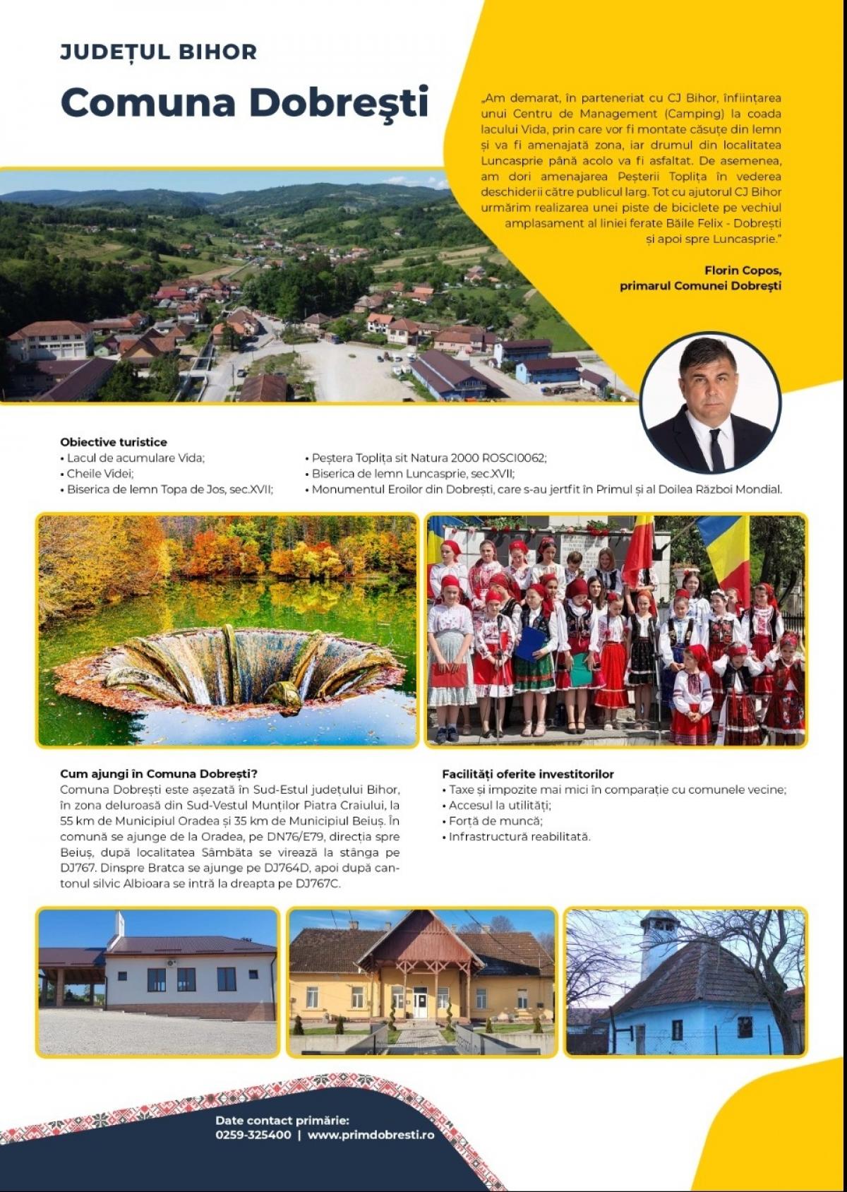 Descriere poză