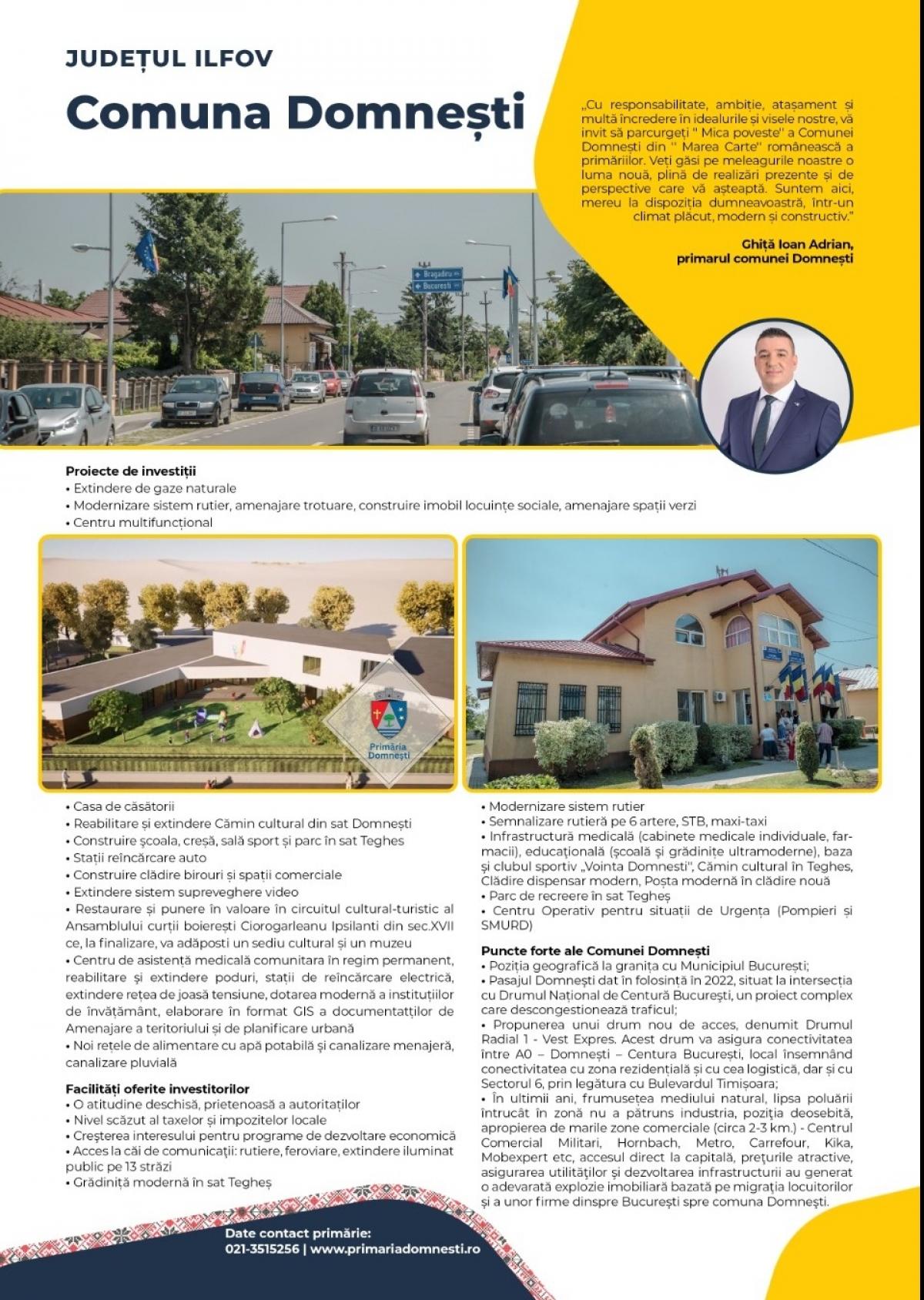 Descriere poză