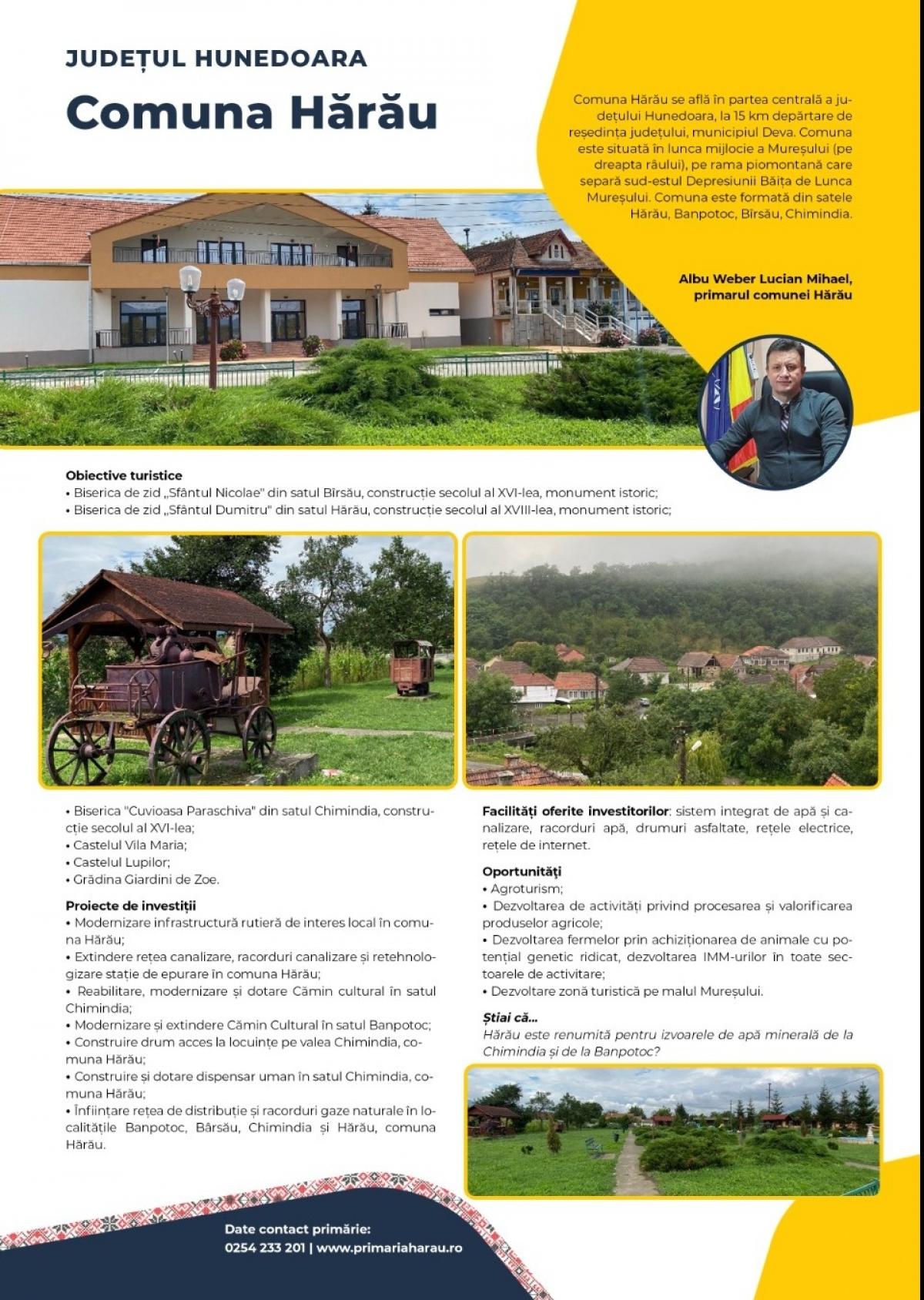 Descriere poză