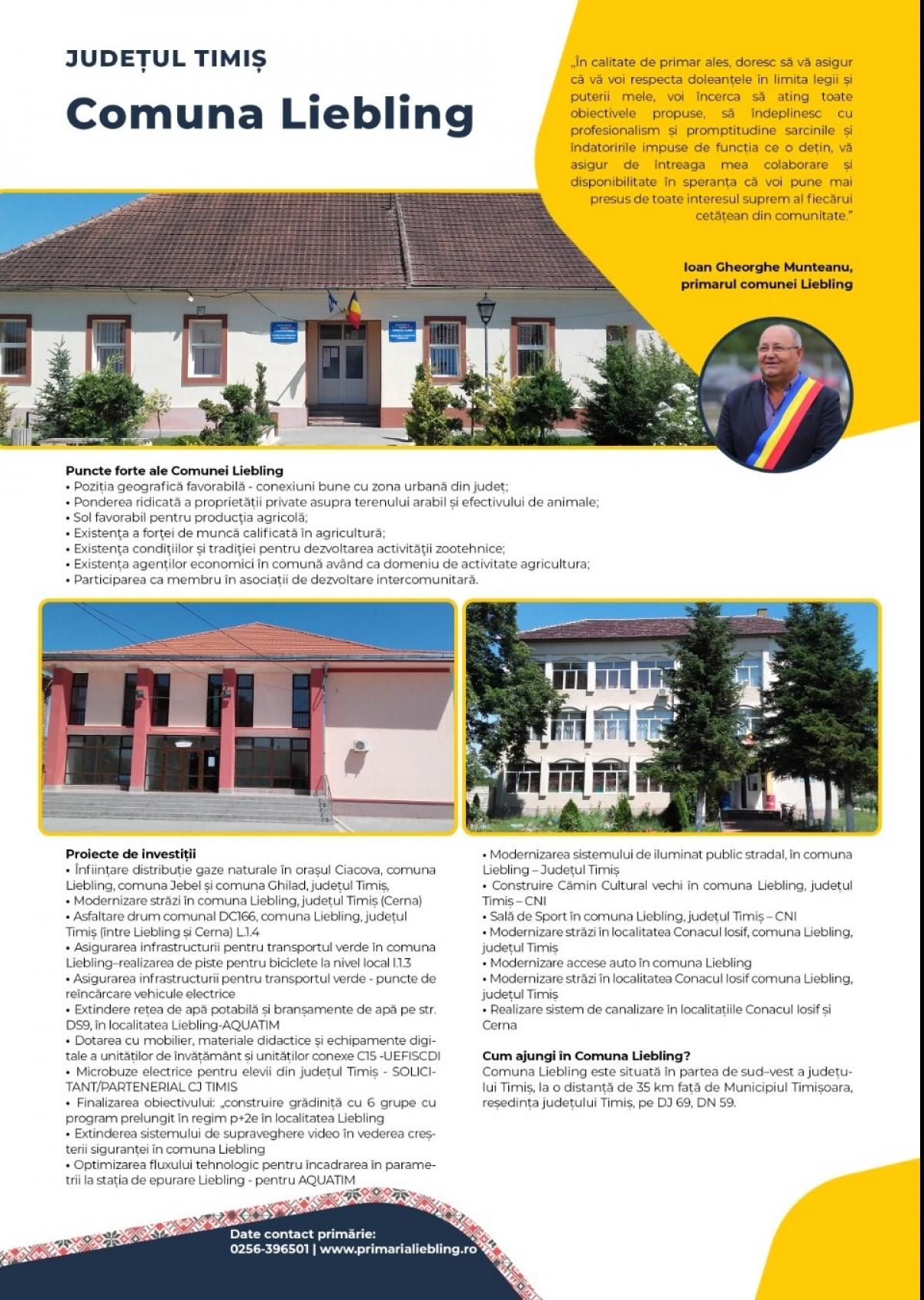 Descriere poză