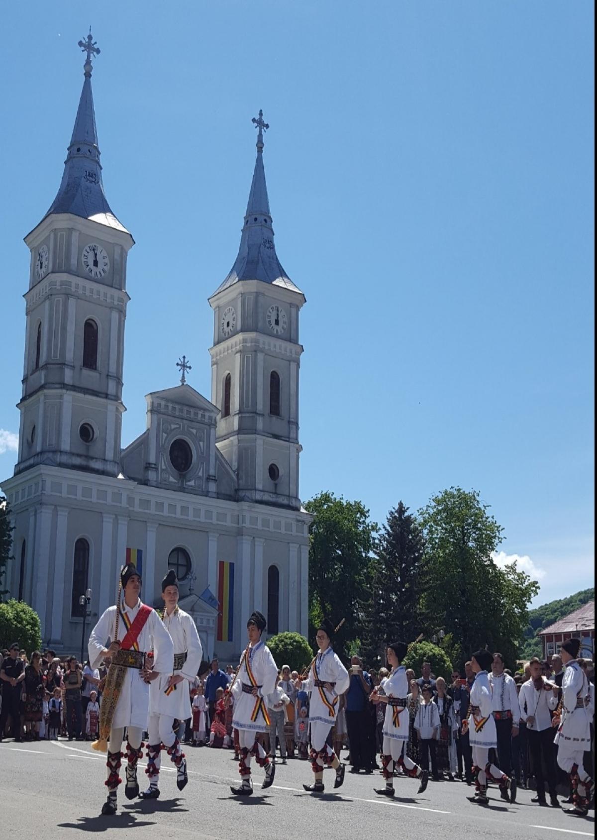Descriere poză