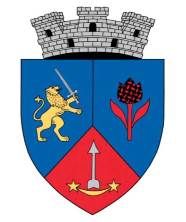 PRIMĂRIA CEHU SILVANIEI Ghidul Primariilor