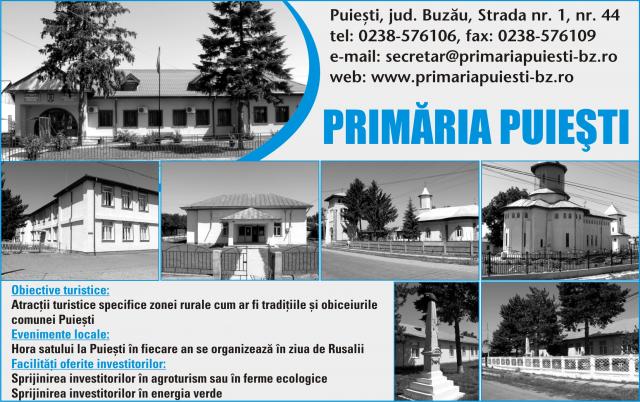 PrimĂria PuieŞti Ghidul Primariilor