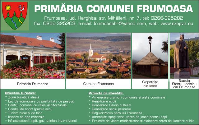 PrimĂria Frumoasa Ghidul Primariilor