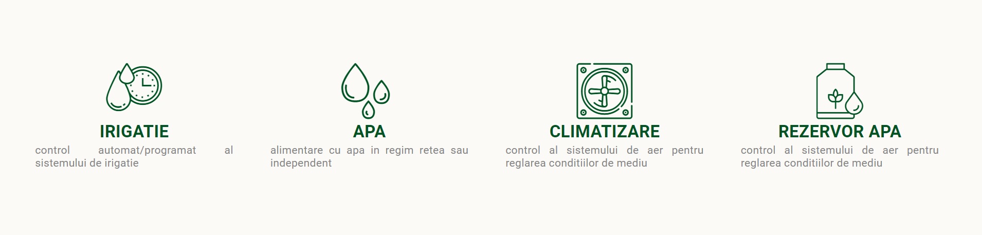 My image