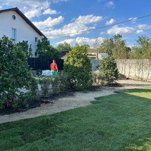 Servicii complete de peisagistica