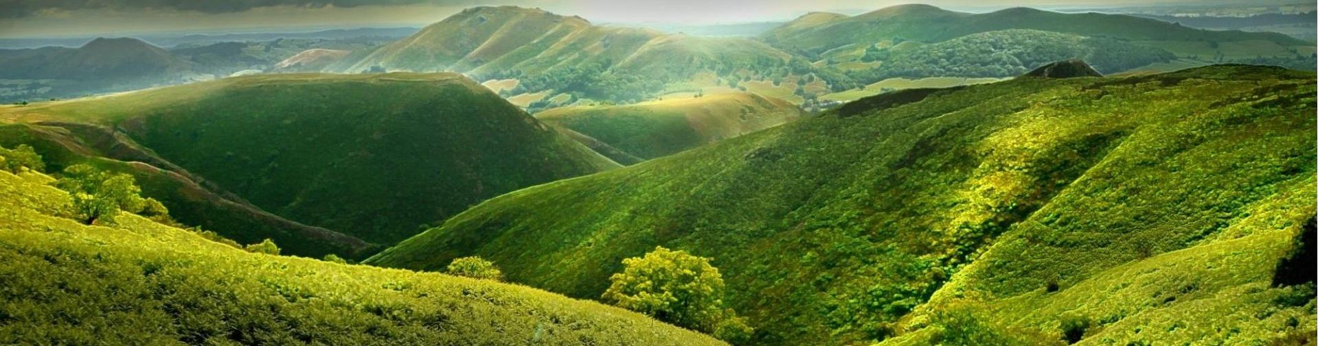 header image