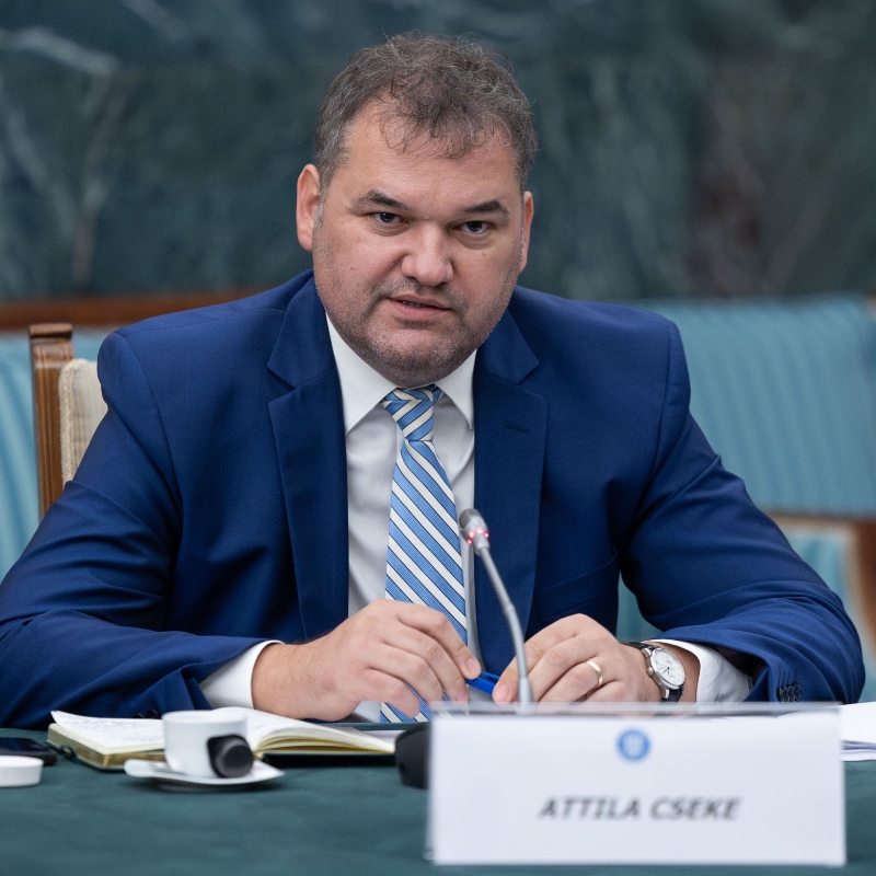 Imagine articol sau știre