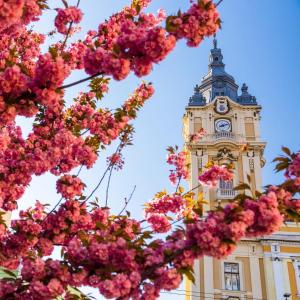 Primăria Cluj-Napoca anunță restricții de circulație cu ocazia desfășurării evenimentului „Zilele Recoltei”