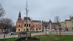 Stejarii roșii au fost plantați în Piața Unirii