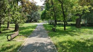 Au început lucrările de modernizare a Parcului Petőfi