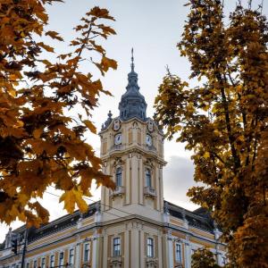 Cu ocazia „Zilei Internaționale a Animalelor Fără Stăpân”, Primăria Municipiului Cluj-Napoca, organizează un eveniment dedicat câinilor fără stăpân.