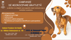 Nu ți-ai microcipat câinele? Ești pasibil de amendă cuprinsă  între 5.000 și 10.000 de lei