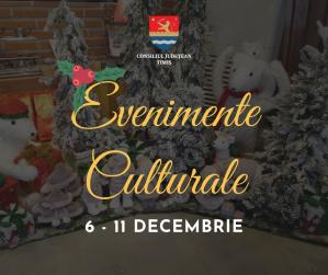 O nouă săptămână culturală în organizarea instituțiilor CJ Timiș