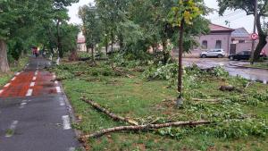 Primăria a inventariat pagubele produse pe domeniul public, în  urma furtunii de săptămâna trecută