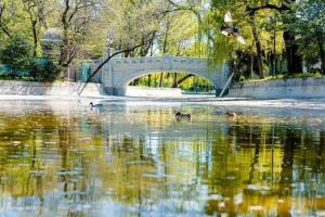 Evenimente Grădina Cișmigiu de Ziua Internațională a Grădinilor Zoologice și Parcurilor