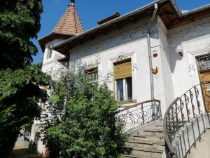 Vila istorică din Parcul Brătianu, scoasă la licitație