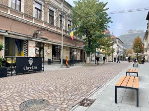 Lucrările la amenajarea zonei pietonale a Centrului Istoric al municipiului Deva avansează în ritm susținut