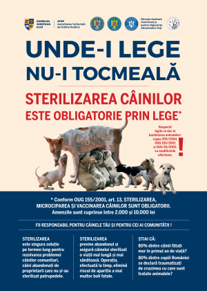 Consiliul Județean a dat startul campaniei de informare ce vizează reducerea numărului de câini fără stăpân