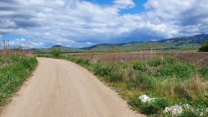 Care sunt prioritățile în municipiul Gheorgheni? Fluidizarea traficului sau festivalul?