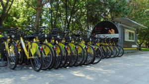 Veste bună pentru amatorii de mișcare!  Pedalați și în acest an cu bicicletele I'Velo din Parcul Titan!