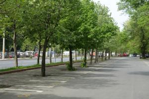 500 de locuri de parcare create de Primăria Sectorului 3!