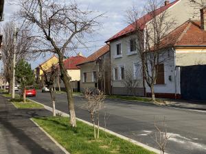 Peste 400 de arbori vor fi plantați în următoarele două săptămâni  în Oradea