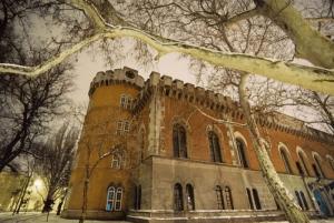 Bani pentru restaurarea Castelului Huniade obținuți de Consiliul Județean Timiș prin PNRR