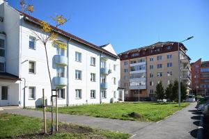 Sibiul devine mai verde. Au început plantările de toamnă