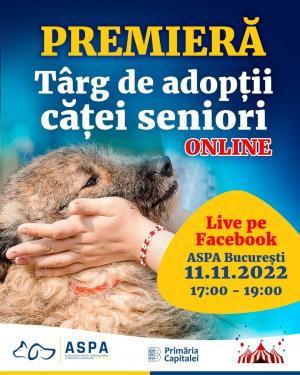 Premieră. Târg online pentru cățeii seniori din centrele ASPA